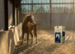 Allspan German Horse® : des copeaux de bois haut de gamme pour des litières animales de qualité